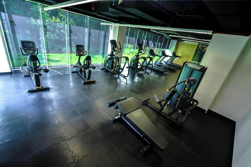Galeria Plaza San Jeronimo Ξενοδοχείο Μεξικό Ανέσεις φωτογραφία The gym at the hotel