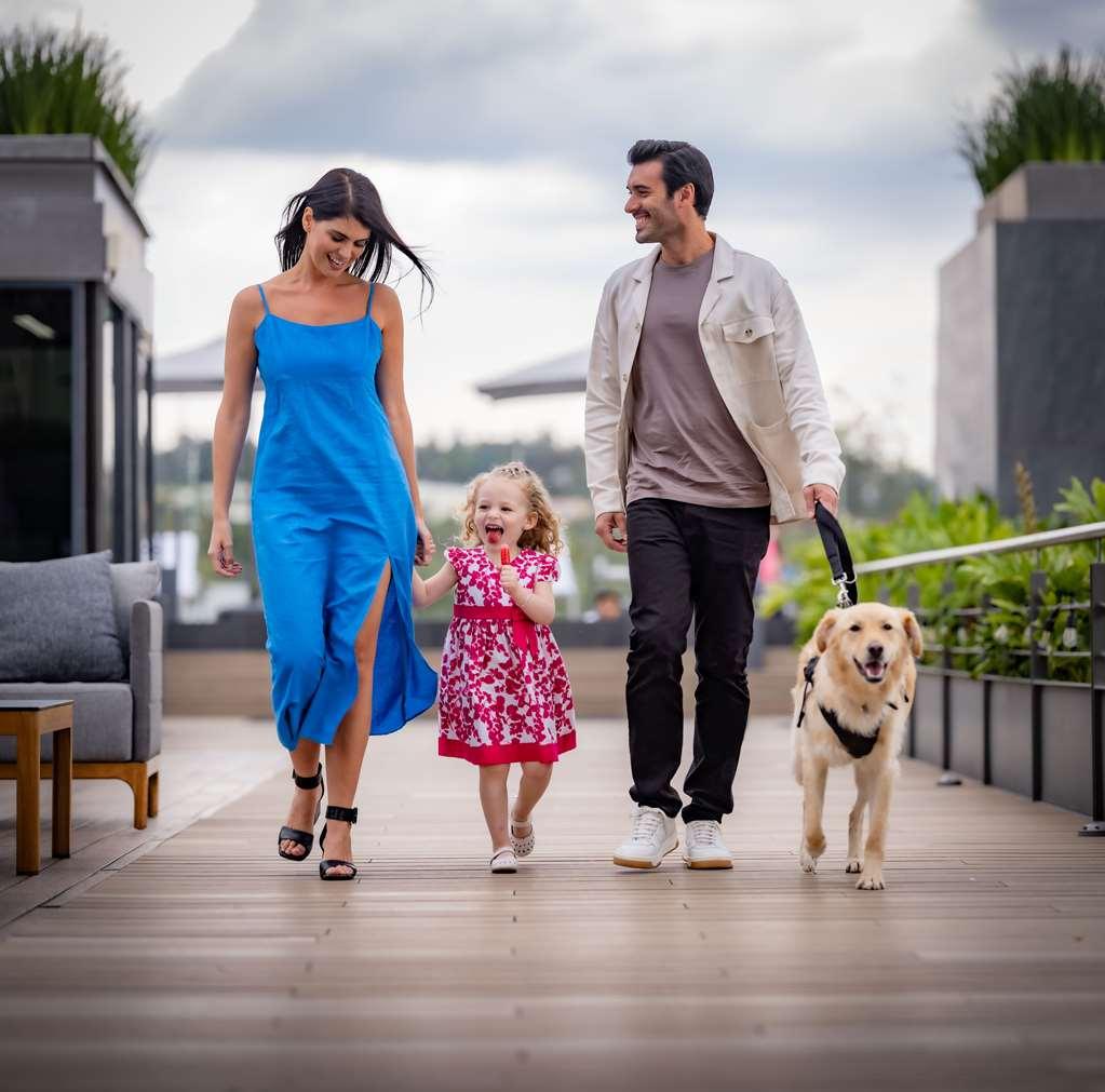 Galeria Plaza San Jeronimo Ξενοδοχείο Μεξικό Ανέσεις φωτογραφία A family with a dog