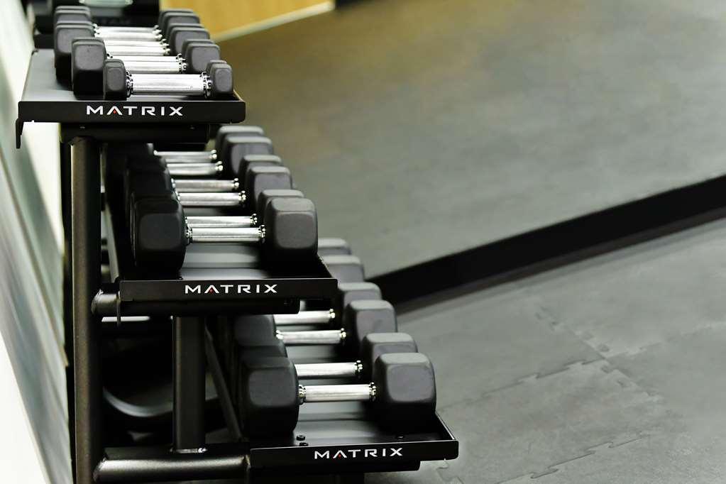 Galeria Plaza San Jeronimo Ξενοδοχείο Μεξικό Ανέσεις φωτογραφία Dumbbells